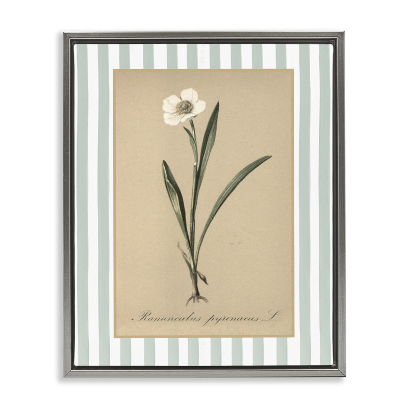Cadre flottant Wild Poppy avec rayures vertes, design avec lettres et doublure, H 21 po x l 17 po, Cadre flottant gris lustré
