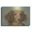 "Sophie" par Janet Pidoux-824059247