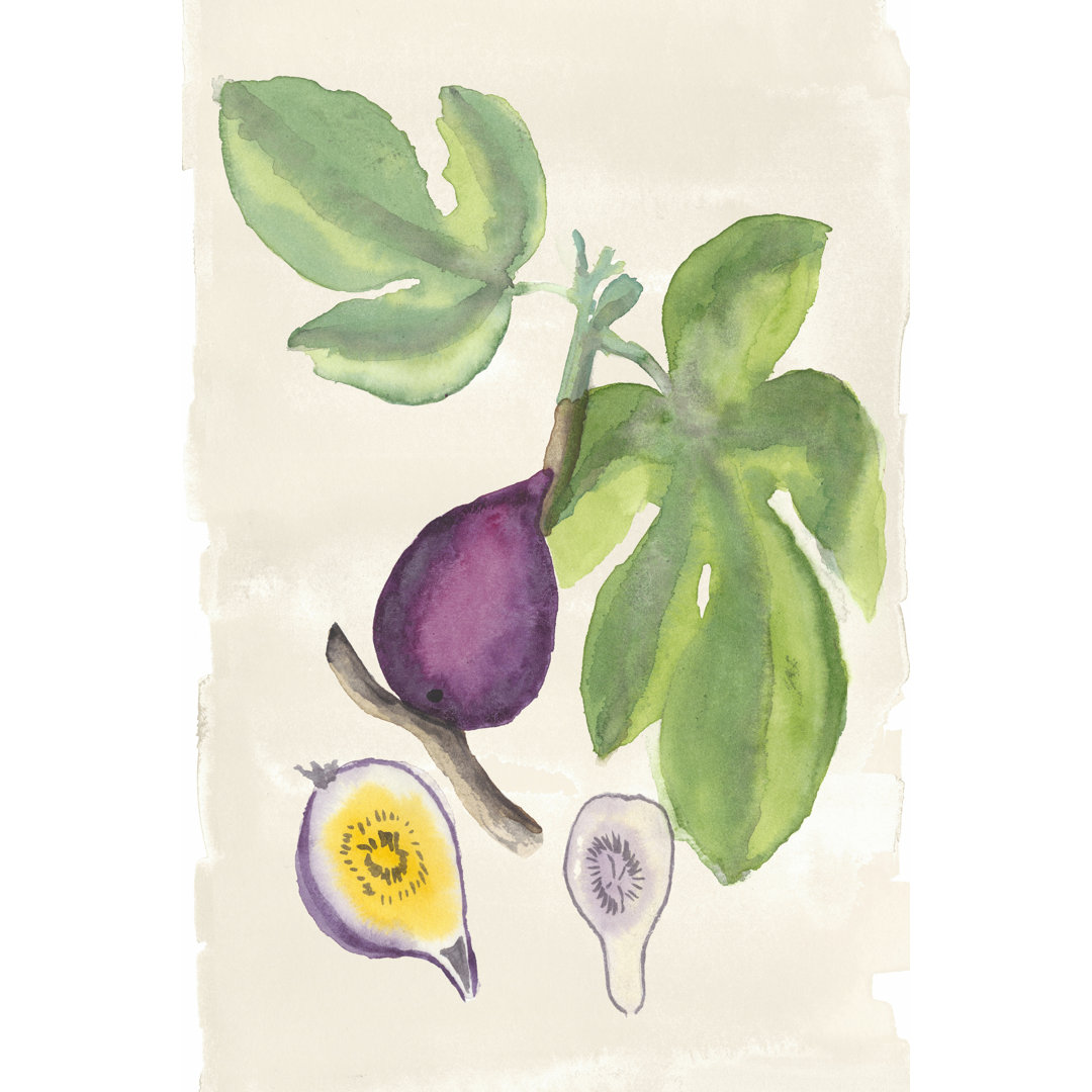 Leinwandbild Watercolour Fruit I von Naomi McCavitt