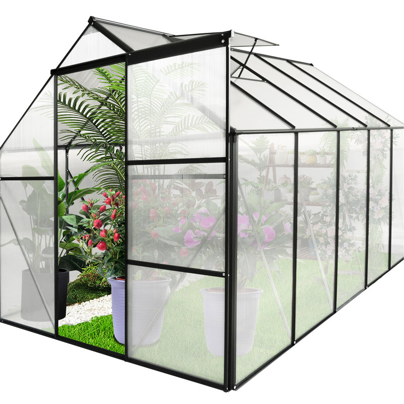 Serre 6 x 10 pi avec base galvanisée pour une croissance optimale des plantes, H 77,53 po x l 120,74 po x P 73,51 po