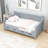 Idylwood Twin Daybed with Drawers-832534624