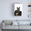 Frenchie dans le sac-94839659