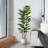 Adcock  Artificial Fiddle Leaf Fig Tree with Realistic Leaves and Natural Trunk, Potted Tree-212895788