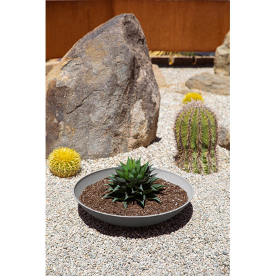 Pure Series Lane Bowl Planter