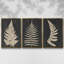 Linen Fern I - ensemble de 3 reproductions sur toile-15951355-15951336