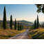 Lost In Tuscany - Picture Frame Photograph on Paper -87886898-87886901