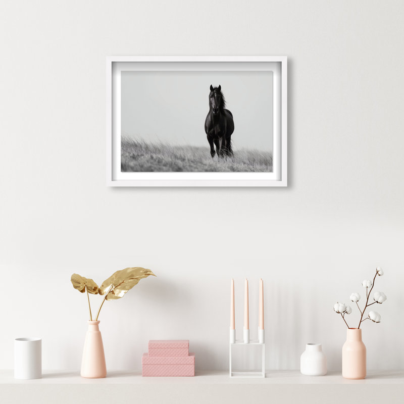 Lone Stallion I Framed Graphic Art, 17.5" H x 25.5" W, White Shadowbox