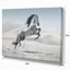Photographie d'un cheval blanc au galop-35105339-35105343