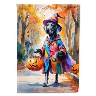Drapeau de maison Weimaraner