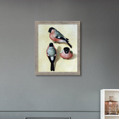 Trois bouvreuils, reproduction d'art encadrée