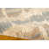 Canaday Ikat Indoor Rug