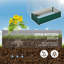 Raised Garden Bed-2079074110