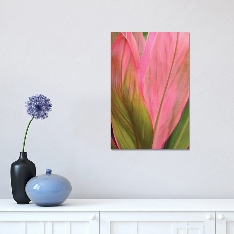 Ti Plant by Brian Wolf - Wrapped Canvas Print, 45.72cm H x 30.48cm W x 1.91cm D