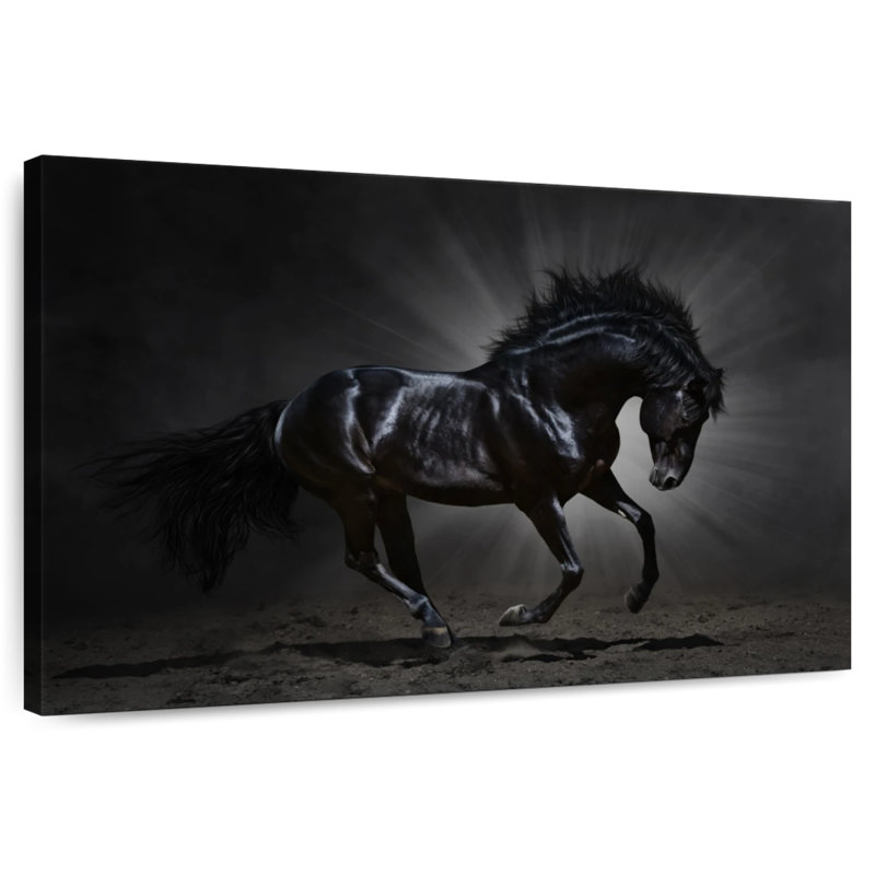 Brampt Elegant Black Horse, 24" H x 36" W