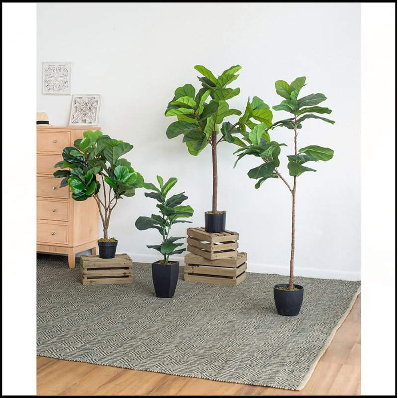 Fiddle Fig Leaf Tree, 40 Leaves