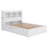 Cardorius Bookcase Bed-1487375692