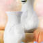 Phases Porcelain China Table Vase