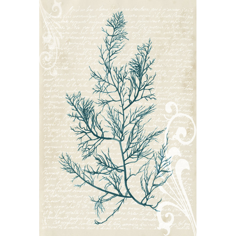 Teal Seaweed I by Grace Popp - Wrapped Canvas Art Prints, 30cm H x 20cm W