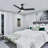 Kamy 52'' Ceiling Fan with LED Lights