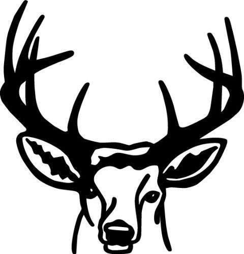 Animals Non-Wall Damaging Wall Decal
