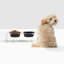 Small Clear Elevated Feeder with Color Bowls-61659534-62441846