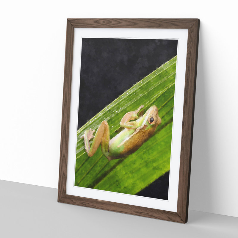 Frog Vol.1 - Framed Print, 48cm H x 36cm W x 2cm D, Walnut Framed
