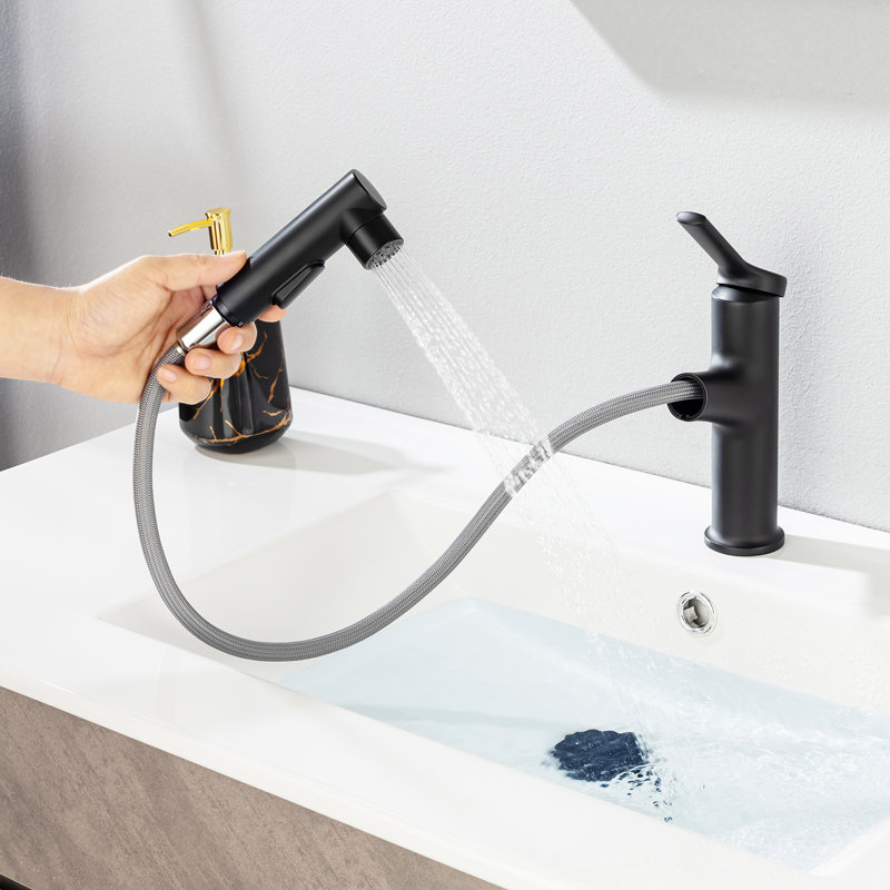 Robinet de lavabo de salle de bain chromé avec conduite d'eau, Noir mat