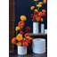 Tennyson Handmade Ceramic Indoor Pot Planter
