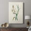 Traditional Botanical IV - Gallery Cavas-1895148204