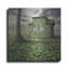 «House Of Leaves» par Dariusz Klimczak-938510977