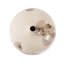 Petrini Tuscan Small Round Iron Vase
