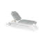 Holsen Outdoor Chaise Lounge