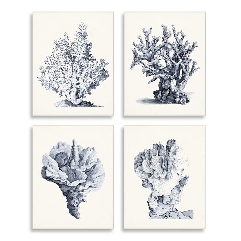 Ensemble d'illustrations texturées et giclées sur fond de corail de mer rétro, 4 pièces, par Vision Studio, Peste de bois