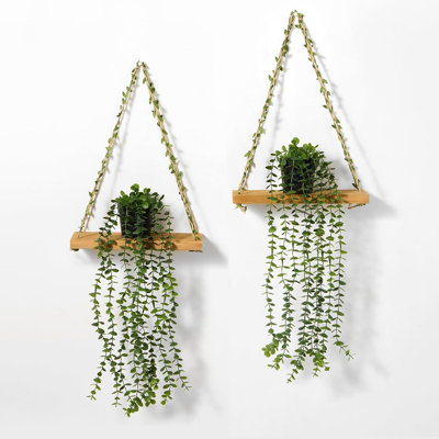 Ensemble de 2 tablettes suspendues avec plantes d'eucalyptus artificiels pour le salon, la chambre à coucher, la salle de bain - plante à suspendre artificielle et ensemble de tablettes murales pour Boho Farmhouse Home Decor