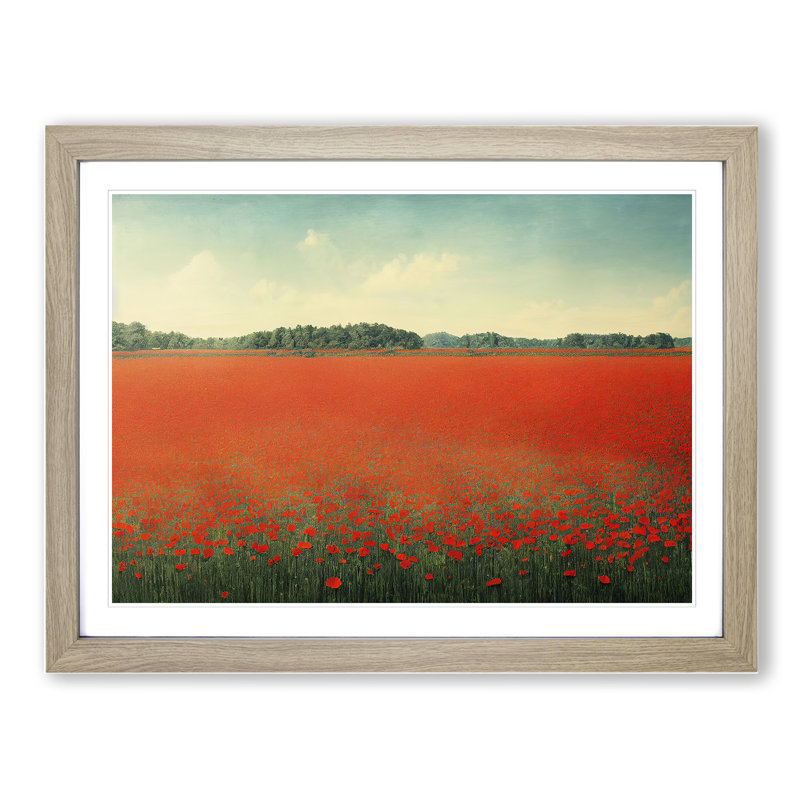 Splendid Poppy Field Flowers - Framed Print, 34cm H x 46cm W x 2cm D, Oak