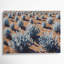 «Southwestern Plants Sagebrush 194», art mural sur toile grise-630184282