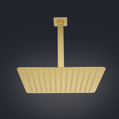 Pomme de douche à pluie fixe 1,8 GPM GPM avec autonettoyant
