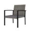 Ensemble de 2 chaises d'appoint pour l'extérieur, poly rotin gris, acier noir