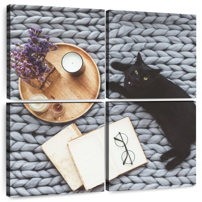 Chat moderne Brampt