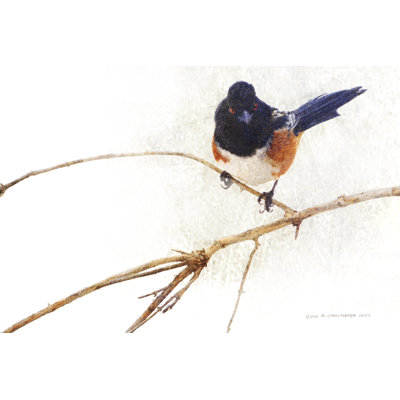 " On The Branch IV " by Chris Vest Painting Print