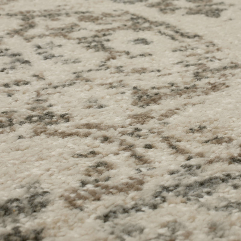 Ingleby Grey Distressed Ornamental Area Rug, Rectangle 5'3" x 8'