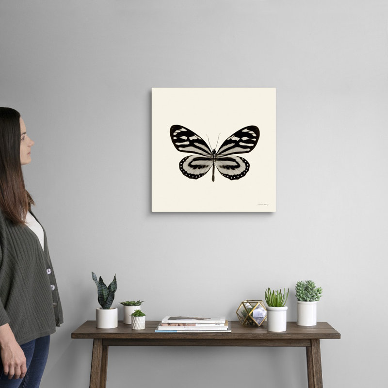 « Butterfly VIII BW crop » par Debra Van Swearingen-impression, Toile tendue, H 36 po x l 36 po x 1,25 po