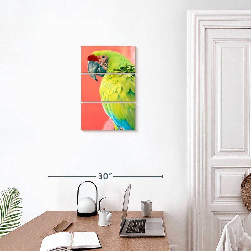 Brampt Green Macaw, 23" H x 14" W