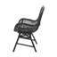 Gaelen Patio Dining Armchair with Cushion-303904340