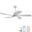 Damecia 52'' Ceiling Fan with LED Lights-1444270907