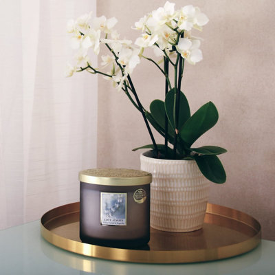 Spring / Summer 2025 Plant / Floral Scented Jar Candle with Glass Holder