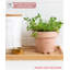 Cute Pots Pot Planter