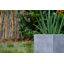 Fibre de verre Gethsemane-1621048990-1617262000
