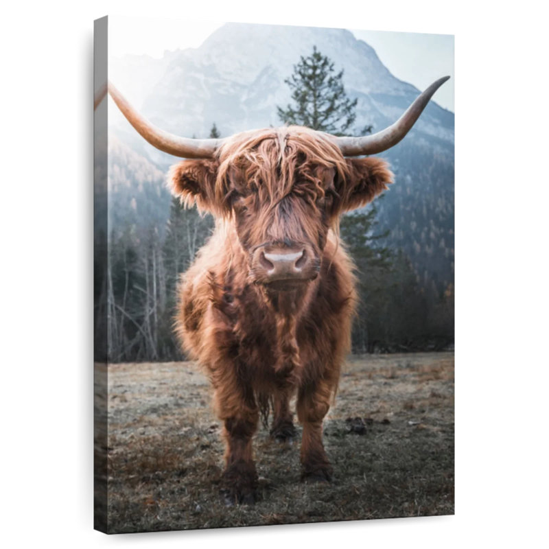 Bramom Dolomites Highland Cow, H 24 po x l 16 po