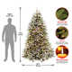 The Holiday Aisle® Dunhill Fir Tree with Clear Lights